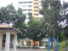 Blk 401 Pandan Gardens (Jurong East), HDB 5 Rooms #368092